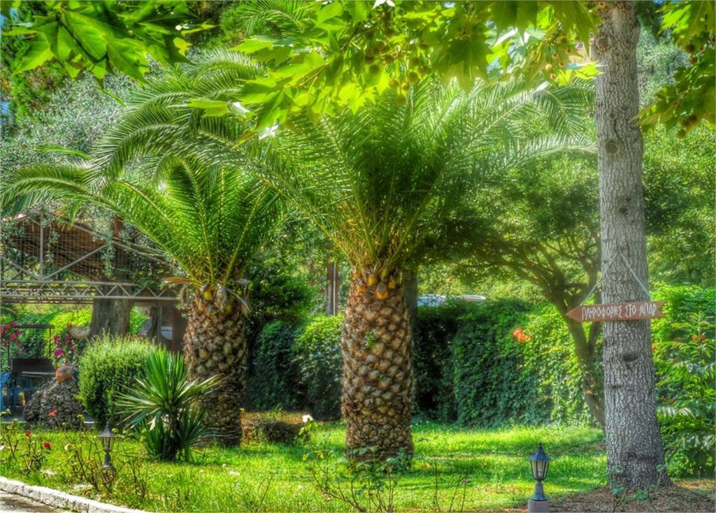 Aneton Aparthotel Chrysi Ammoudia Exterior photo