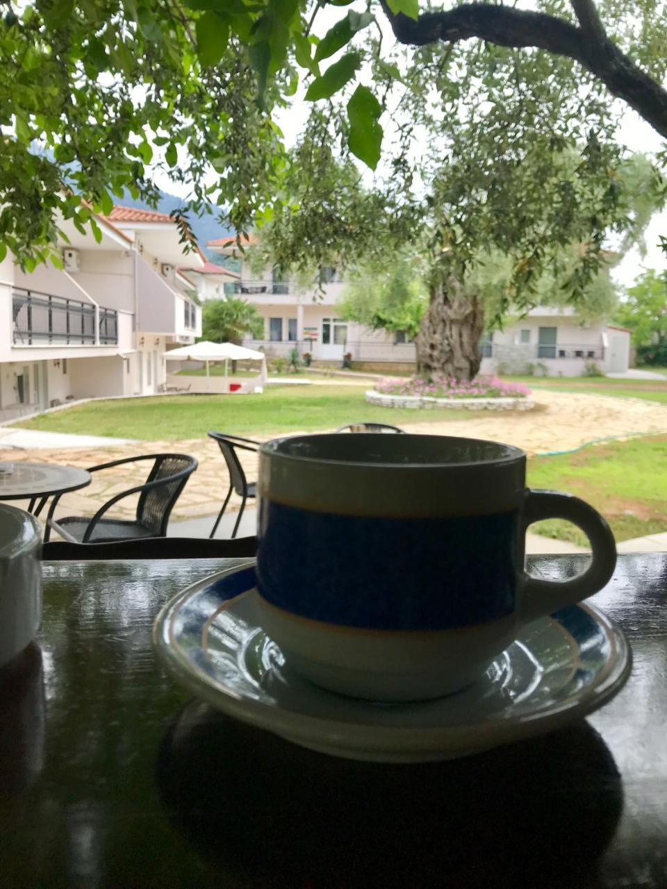 Aneton Aparthotel Chrysi Ammoudia Exterior photo
